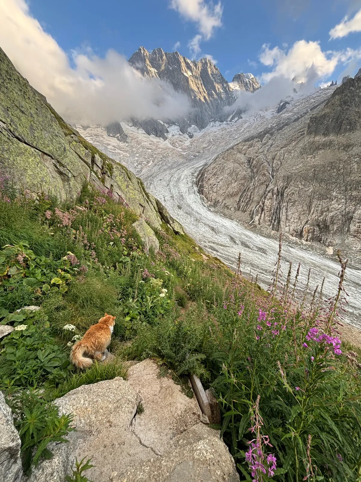 Walker, teksaški rendžer